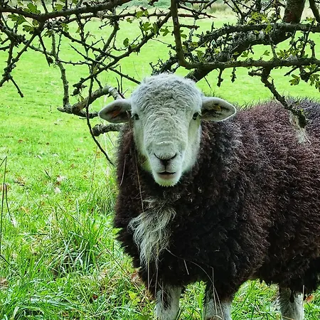 Crookabeck Nocleg ze śniadaniem 5*