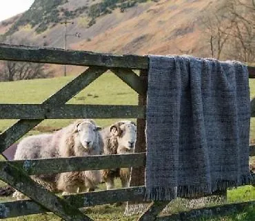 Bed & Breakfast Crookabeck