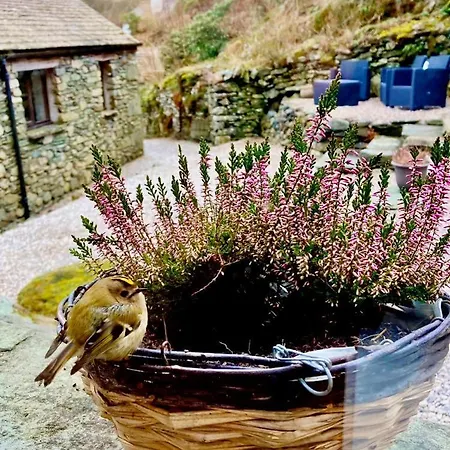 Crookabeck Bed & Breakfast 5*