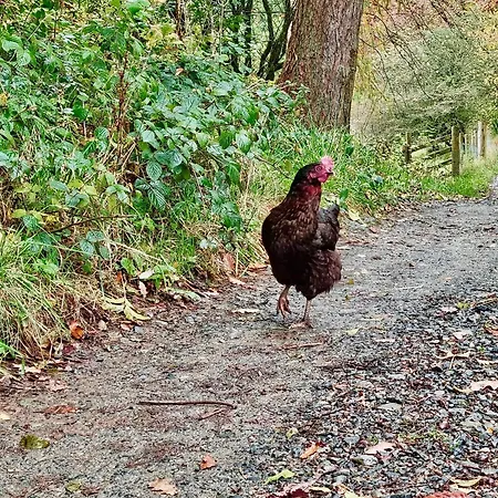 Crookabeck Bed & Breakfast 5*